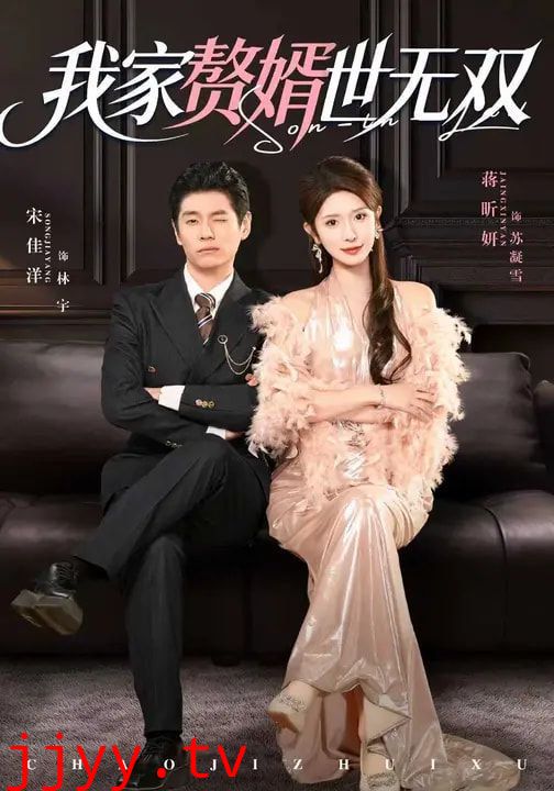 我家赘婿世无双