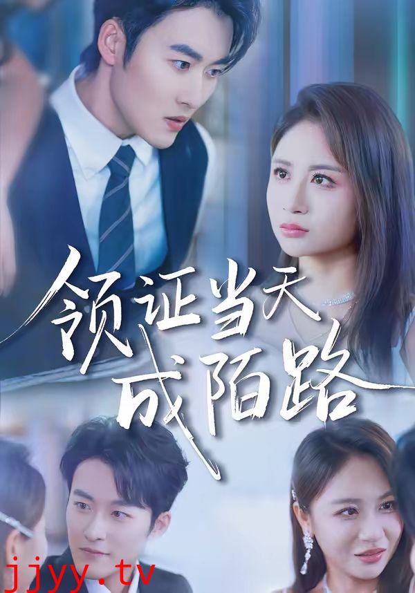 领证当天成陌路