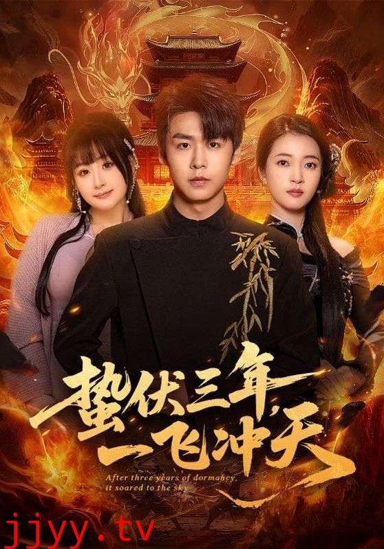 蛰伏三年，一飞冲天