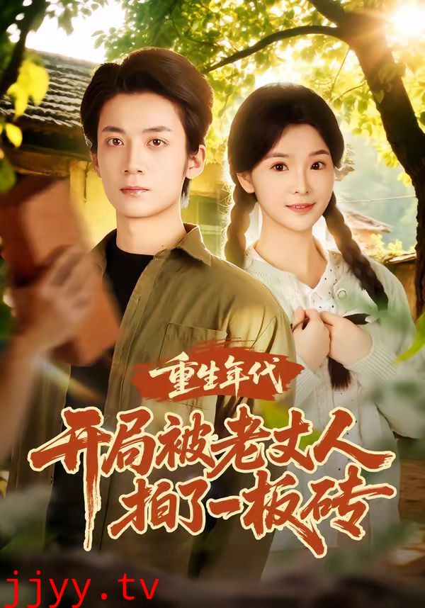 重生年代开局被老丈人拍了一板砖