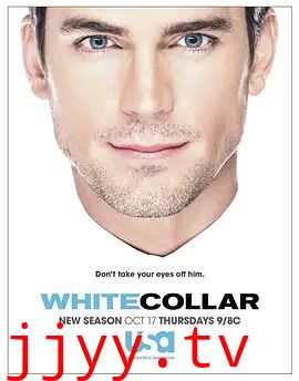 妙警贼探第五季