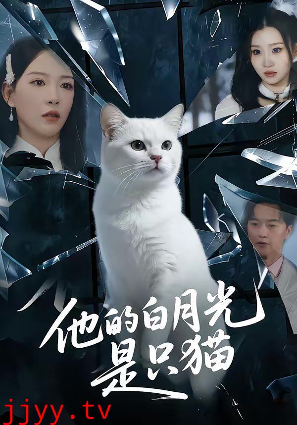他的白月光是只猫