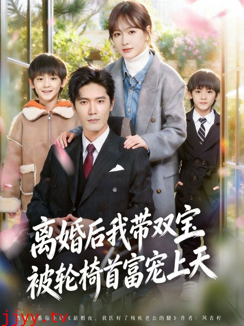 离婚后我带双宝被轮椅首富宠上天（离婚后，我被轮椅首富宠上天）