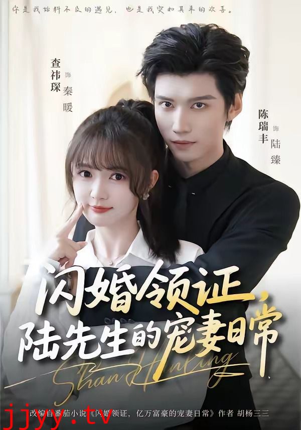 闪婚领证，陆先生的宠妻日常