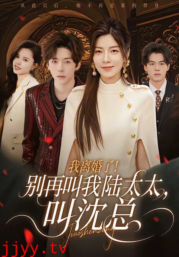 我离婚了！别再叫我陆太太，叫沈总