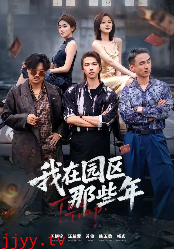 我在园区那些年