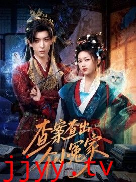 查案查出个小冤家
