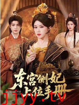 东宫侧妃上位手册