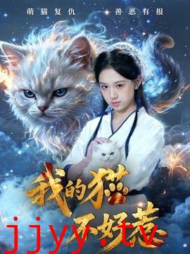 我的猫不好惹