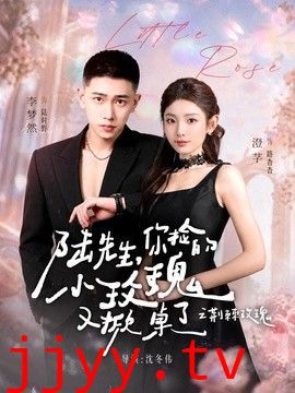 陆先生，你捡的小玫瑰又掀桌了之荆棘玫瑰（太子爷的小玫瑰又掀桌了）