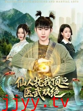 仙人抚我顶之医武双绝