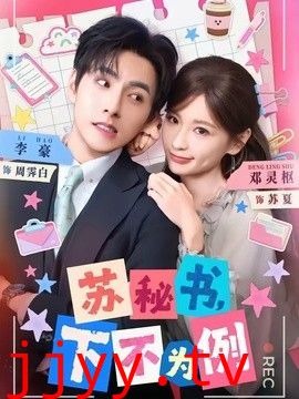 苏秘书，下不为例