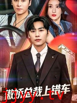 傲娇总裁上错车