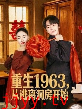 重生1963!从逃离洞房开始
