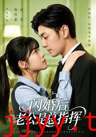 闪婚后老公是总指挥