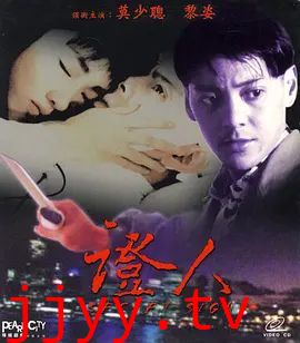 证人 (1993)