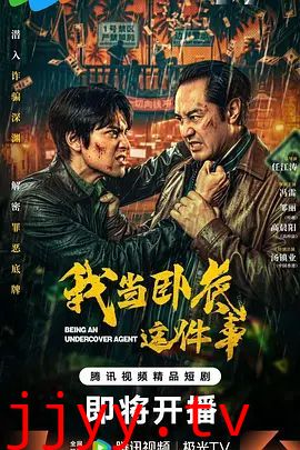 我当卧底这件事