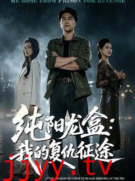 纯阳龙盒：我的复仇征途