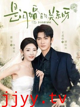 是闪婚的关系呀