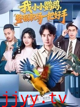 我小小鹦鹉，整顿职场一把好手