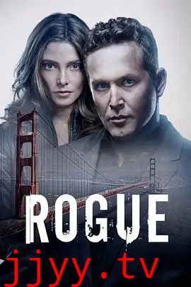 卧底情劫第四季
