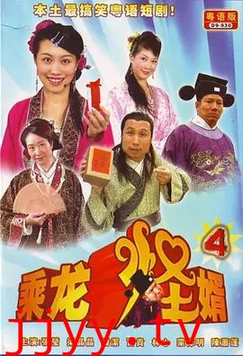 乘龙怪婿第四季
